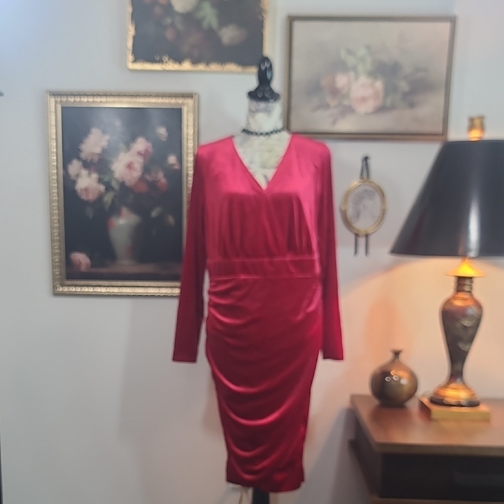 Forever 21 Vibrant Red Velvet Long Sleeve Dress